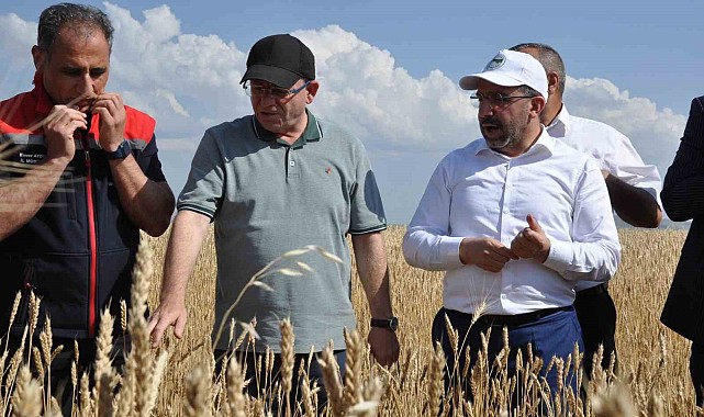 Kars'ta yüzde 50 hibeyle dağıtılan tohumlar tarlalara ekildi