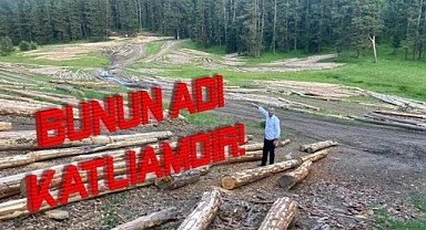 Küpeli; "Doğa ve yaban hayatı tehdit altında"