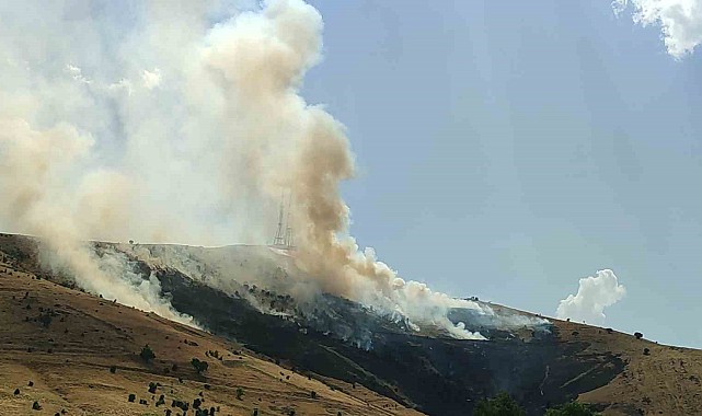Muş'ta çıkan örtü yangını kontrol altına alındı