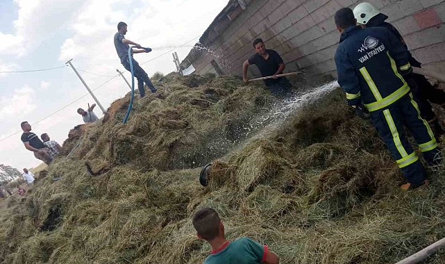 Özalp'te bin bağ ot yandı