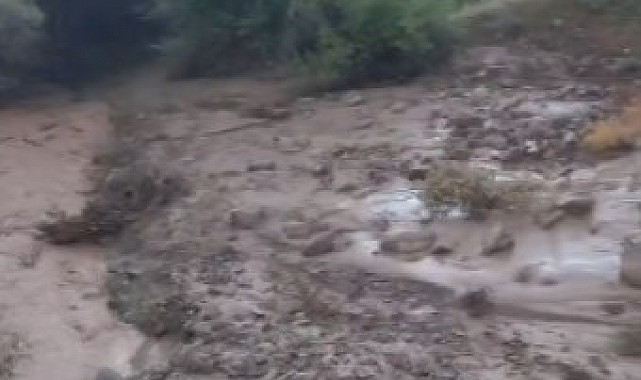 Sel ve fırtınada kaybolan inekler bulundu