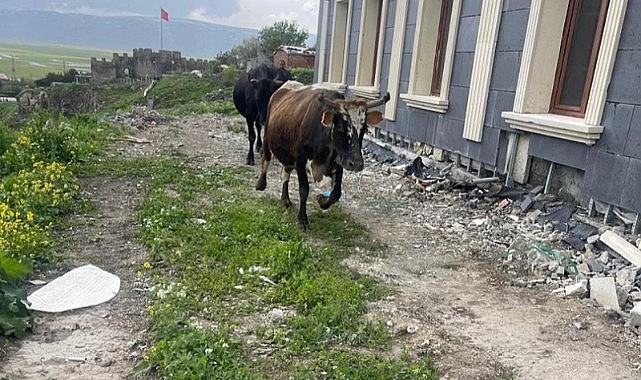 Tarihi yerleri gübre kokusu sardı