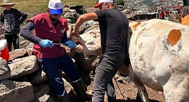 Tarım Müdürlüğü ekipleri sahaya indi