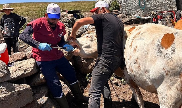 Tarım Müdürlüğü ekipleri sahaya indi