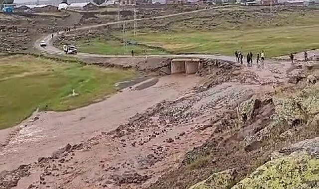 Tekman'da sel ekili arazilere zarar verdi