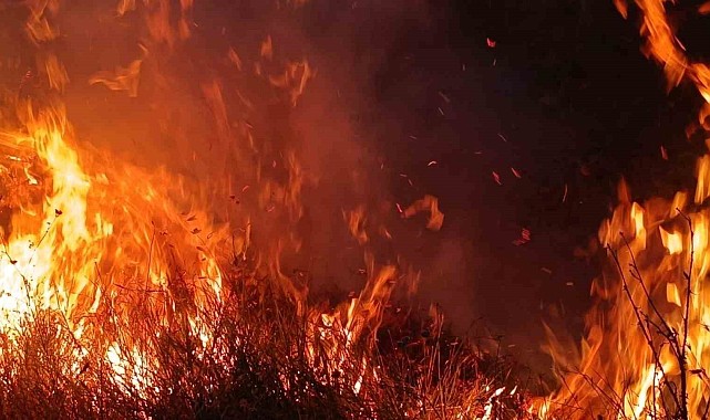 Tunceli'de otluk ve ağaçlık alanda yangın