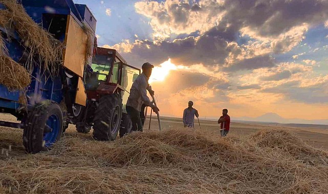 Ağrı'da çiftçiler sıcak havada hasada devam ediyor