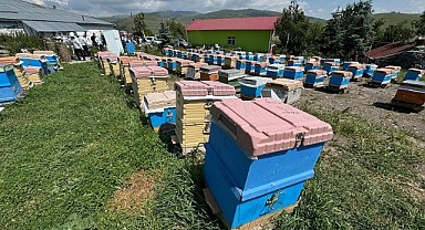 Ardahan balının kovandan sofraya yolculuğu başladı