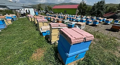 Ardahan balının kovandan sofraya yolculuğu başladı