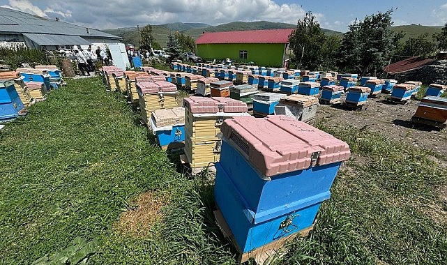 Ardahan balının kovandan sofraya yolculuğu başladı