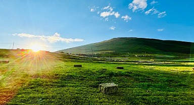 Ardahan'da çiftçilerden renkli hasat görüntüleri