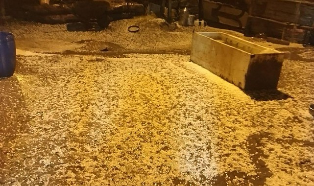 Ardahan'da sağanak yağış sele neden oldu
