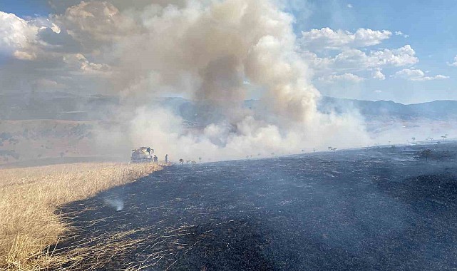 Bingöl'de çıkan orman yangını evlere sıçramadan söndürüldü