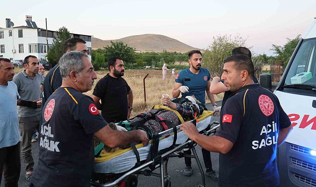 Elazığ'da trafik kazası: 6 yaralı
