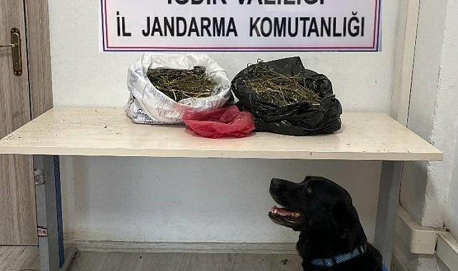 Iğdır'da 22,5 kilogram kubar esrar ele geçirildi