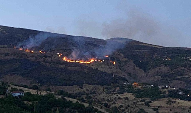 İtfaiye erleri yangından kurtardığı kaplumbağaya su verdi