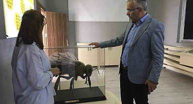 Kafkas Arı Konağı dikkat çekmeye devam ediyor