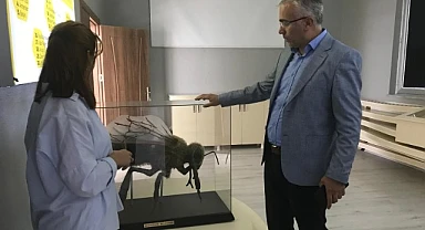 Kafkas Arı Konağı dikkat çekmeye devam ediyor