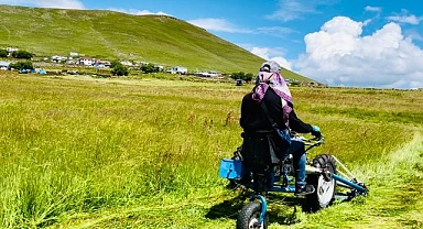 Kavurucu sıcaklara rağmen çiftçiler tarlada zorlu mesaisini sürdürüyor