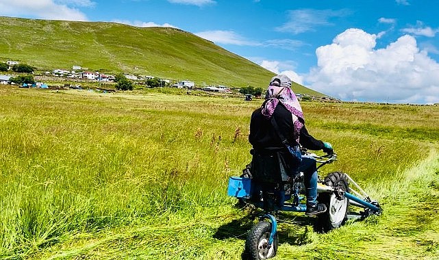 Kavurucu sıcaklara rağmen çiftçiler tarlada zorlu mesaisini sürdürüyor