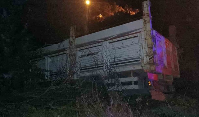 Kontrolden çıkan kamyon uçurumun kenarında durdu: 2 yaralı