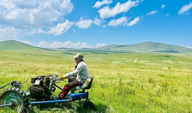 Tarlada mesai sürüyor