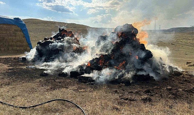 Tekman'da 600 balya ot küle döndü