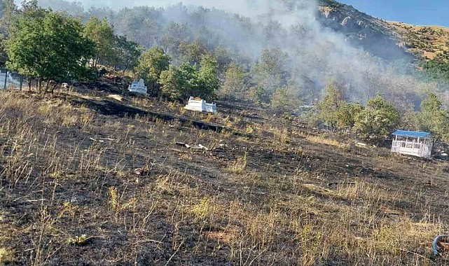 Tunceli'de mezarlıkta başlayan yangın ormana sıçradı
