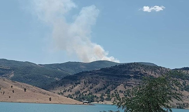 Tunceli'de orman yangını