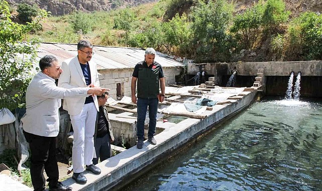 Vali Çelik, alabalık tesislerinde incelemelerde bulundu