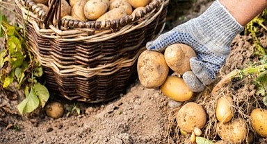 Ardahan’da tarım desteklerinin kapsamı genişletildi