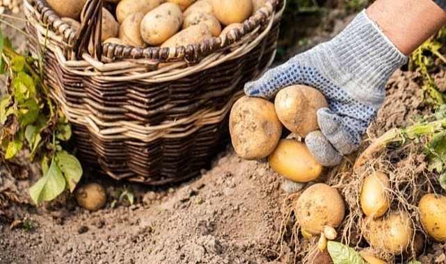 Ardahan’da tarım desteklerinin kapsamı genişletildi