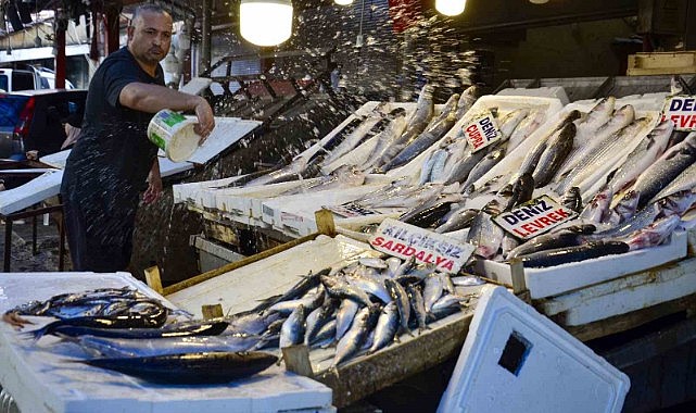 Balık fiyatlarında düşüş başladı