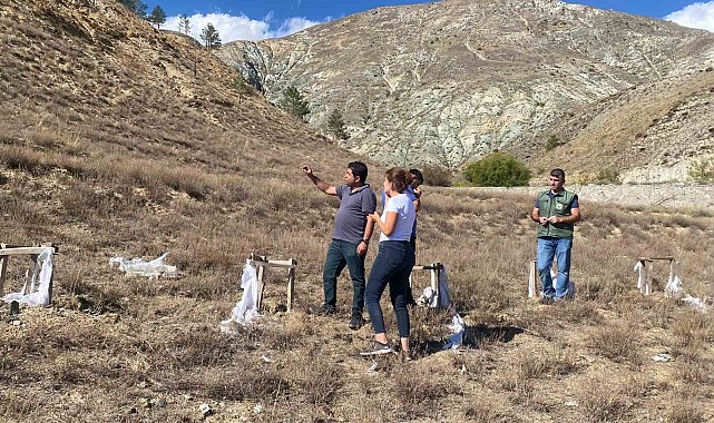 Başpınar köyüne 100 bin tuz çalısı dikilecek