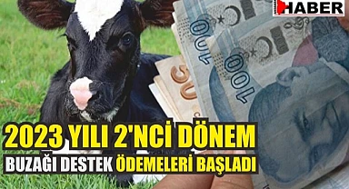 Buzağı desteklemeleri bugün yatırılacak