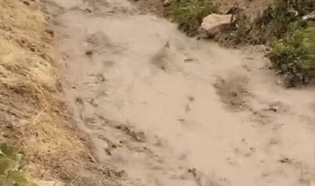 Elazığ'da sağanak dereleri taşırdı