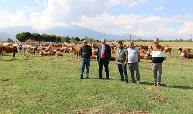 Erzincan Mera Islah Projeleri incelendi