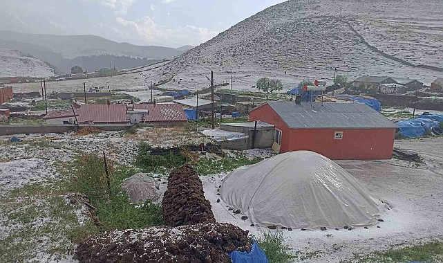 Hanak ilçesi dolu yağışı ile beyaza büründü