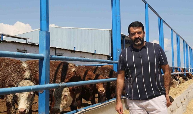 İthal büyükbaş, et fiyatlarını dengede tutuyor