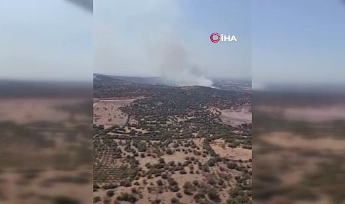 İzmir’de ormanlık alanda yangına havadan ve karadan müdahale başladı