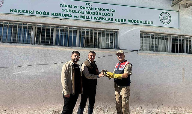 Jandarmadan doğan yavrusuna şefkat eli