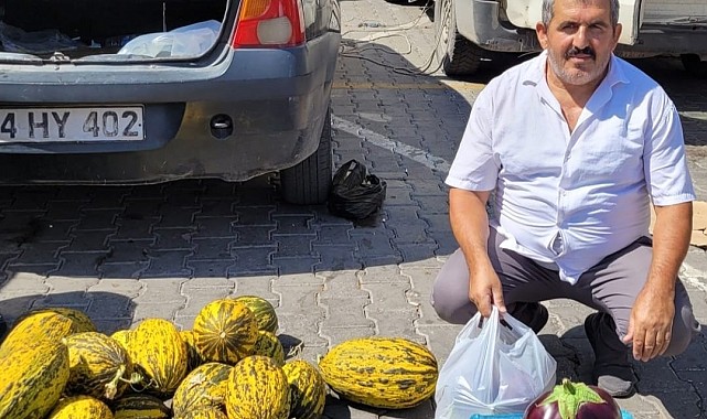 Karpuz gibi patlıcan