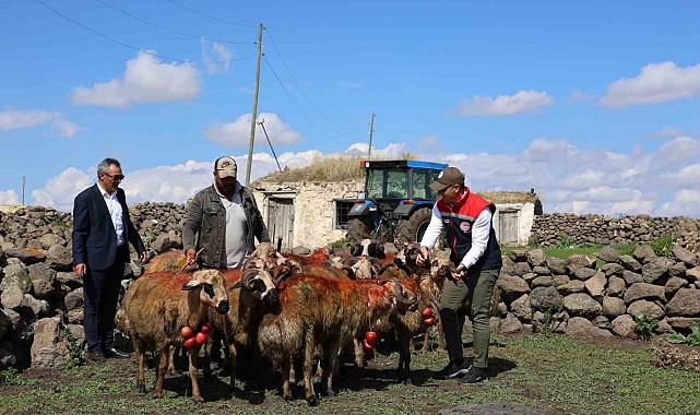 Kars'ta koç katımı yapıldı