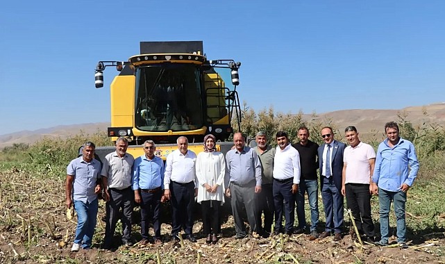 Kaymakam Duman ayçiçeği hasadına katıldı