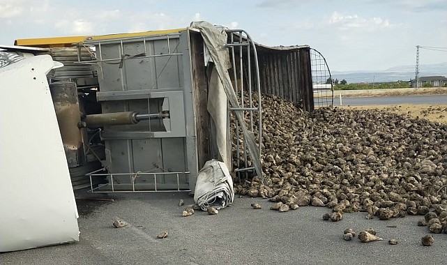 Malatya'da pancar yüklü kamyon devrildi: 2 yaralı