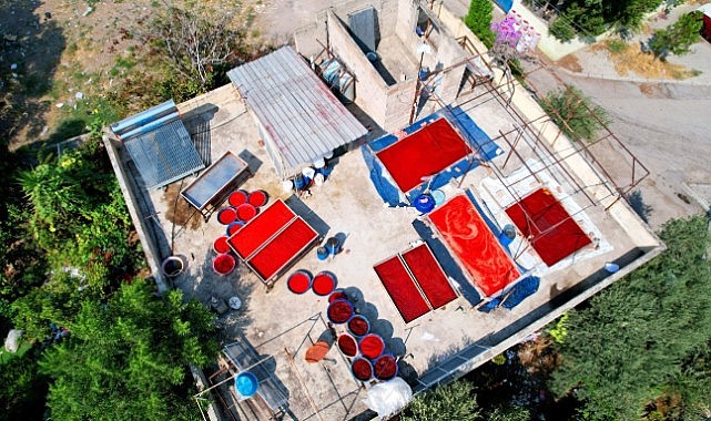 Salça sezonu başladı, damlar kızardı
