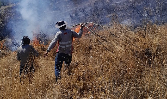 Tunceli'deki yangın ormanlık alana sıçramadan söndürüldü