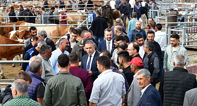 Vali Çiçek hayvan pazarını inceledi