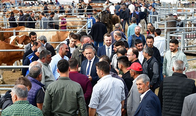 Vali Çiçek hayvan pazarını inceledi