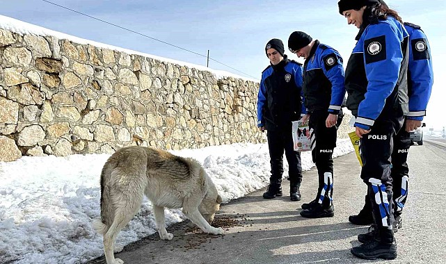 Yüksekova'da Başkomiser Selman Beğde'nin ilçeden ayrılması sevenlerini üzdü
